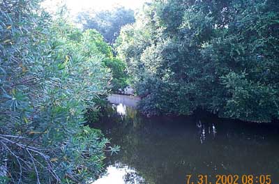 Mckay Creek